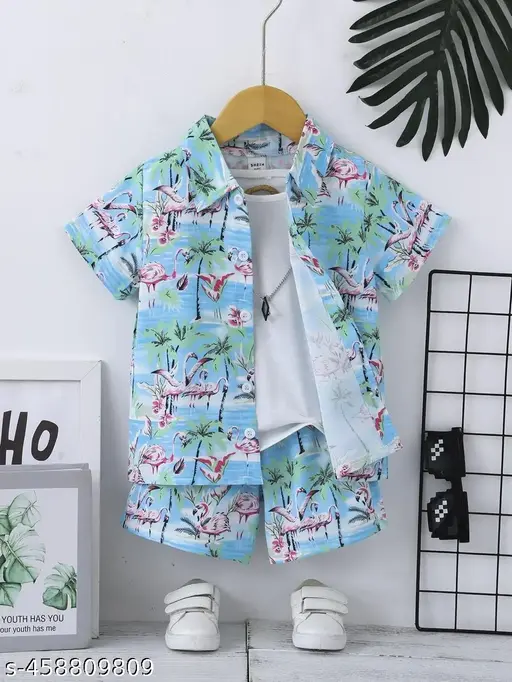 Kids Boys Casual shirt and shorts Clothing Set/Top and Bottom Set /Kids Boys Clothes