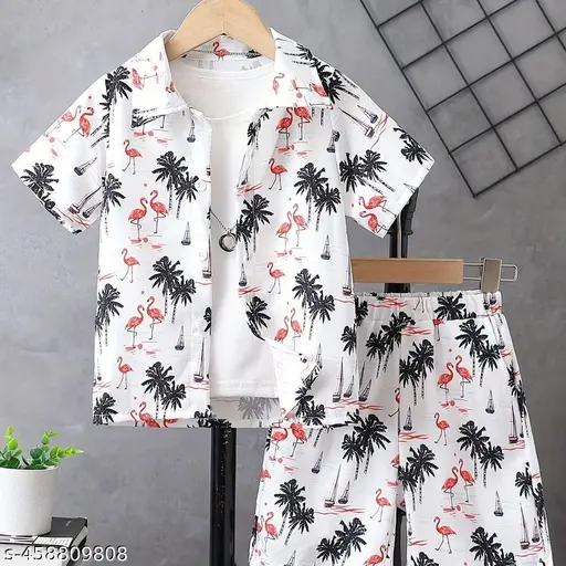 Kids Boys Casual shirt and shorts Clothing Set/Top and Bottom Set /Kids Boys Clothes