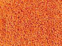 Trinetra Masoor Dal (Split) (1 kg)